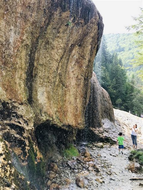 LA CASCADA URLATOAREA SI REZERVATIA DE ZIMBRII DIN。